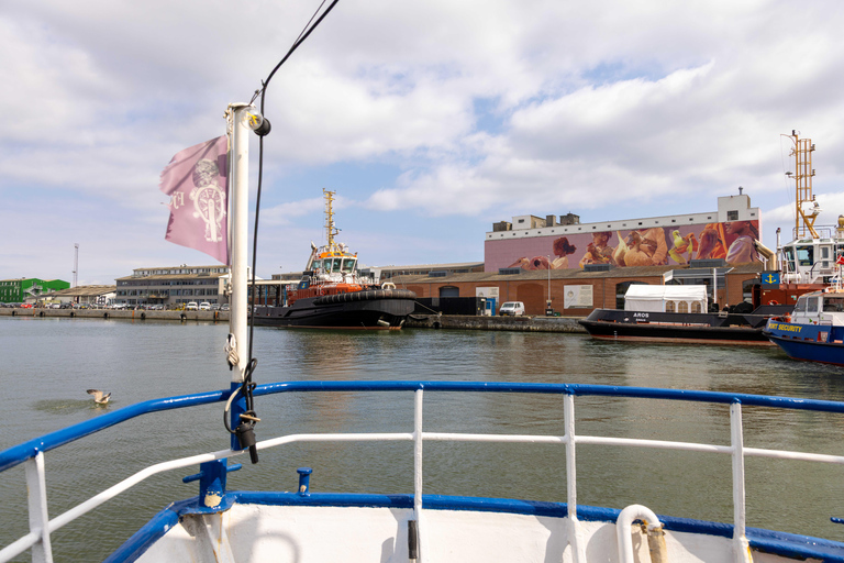 Guided Harbor Cruise: Aarhus Harbor Cruise