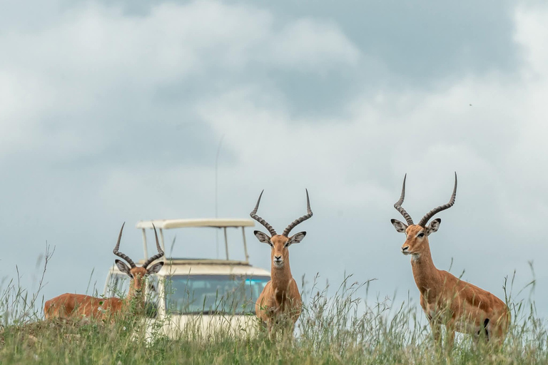 Naivasha: Hell’s Gate National Park & Geothermal Spa Tour