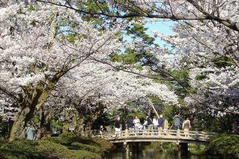 Kanazawa: Nostalgisk rundtur i Shirakawa-go och Kanazawa