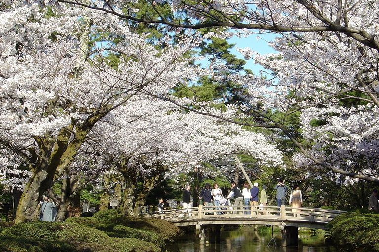 Kanazawa: Tour nostalgico di Shirakawa-go e Kanazawa