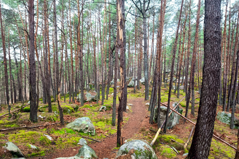 Hiking Adventure in the Fontainebleau Forest