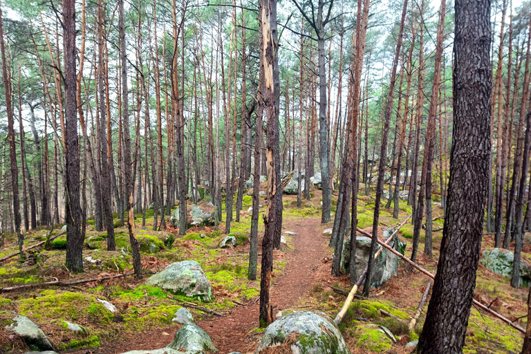 Hiking Adventure in the Fontainebleau Forest