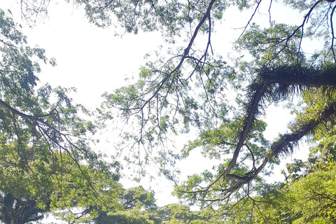 Explore Banyuwangi By Menara Timur Tour & Travel