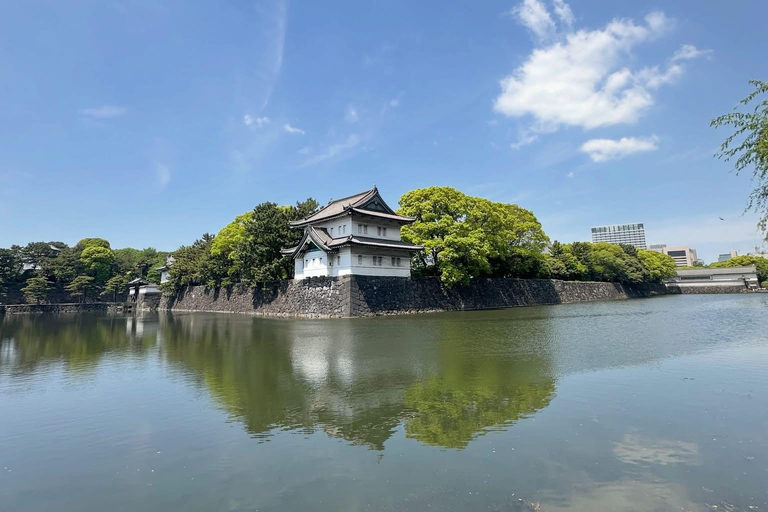 Tokyo Prestige: Luxury Chauffeur Tour with Private Guide 10 Hours Customized Tokyo Tour in Luxury Alford or Vellfire