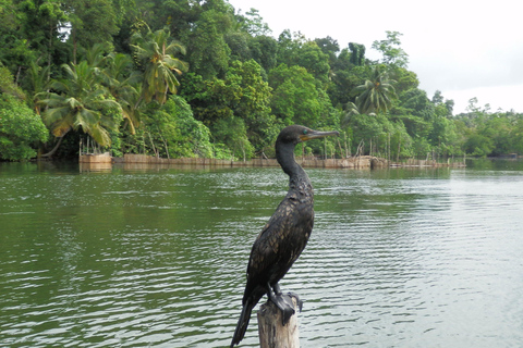 Bentota: Private Lagoon Fishing Tour with a Local Fisherman Pickup from Bentota/Beruwala/Aluthgama