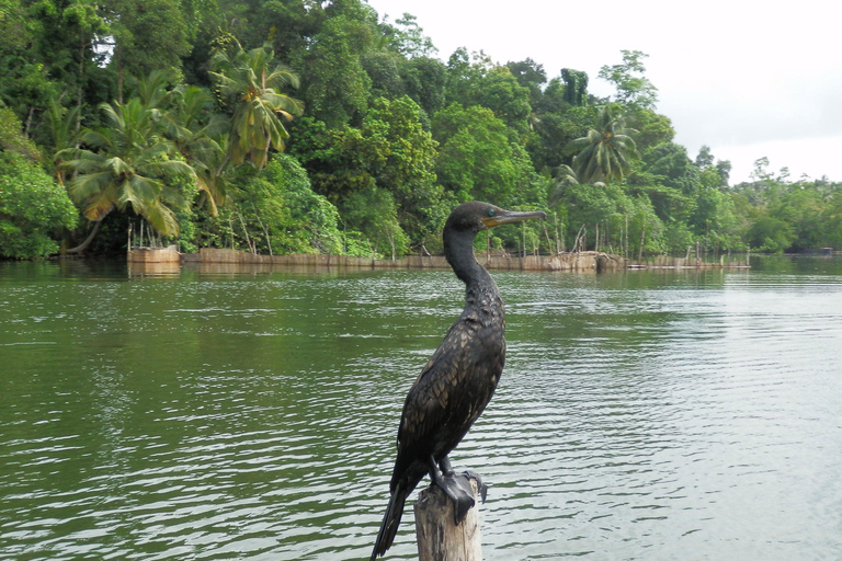 Bentota: Private Lagoon Fishing Tour with a Local Fisherman Pickup from Bentota/Beruwala/Aluthgama