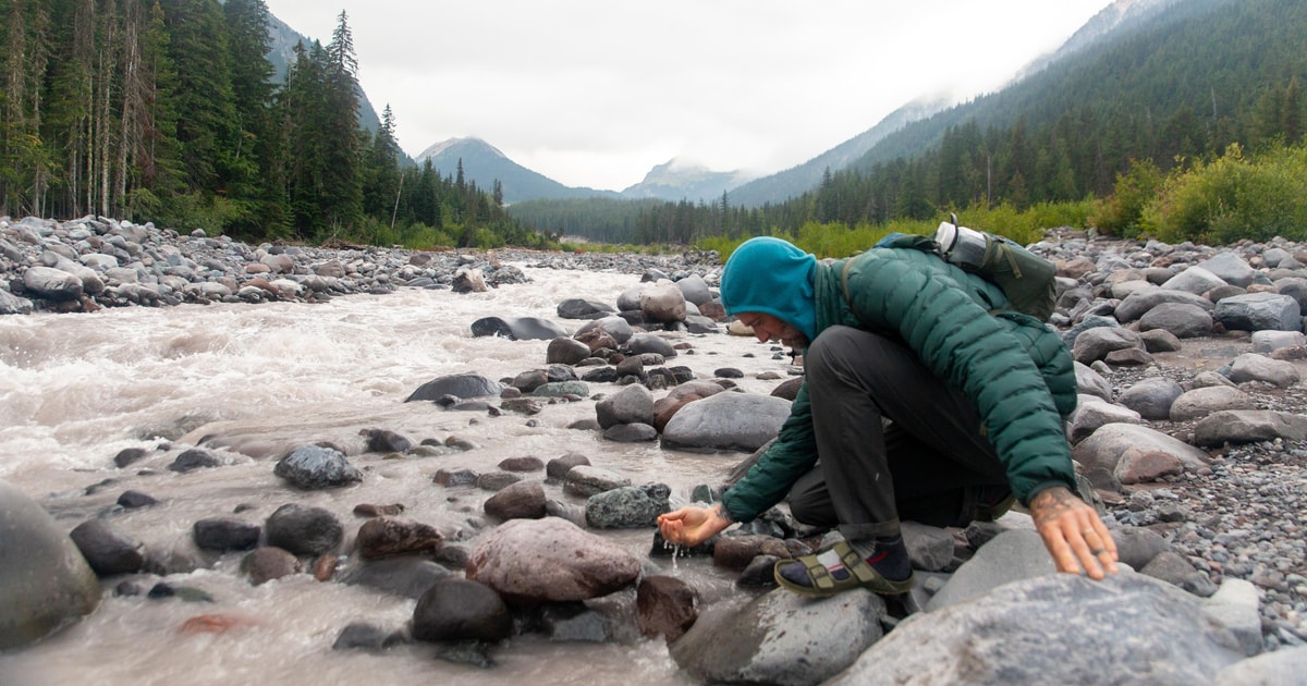 MOUNT RAINIER NATIONAL PARK GET YOUR GUIDE visual data 7