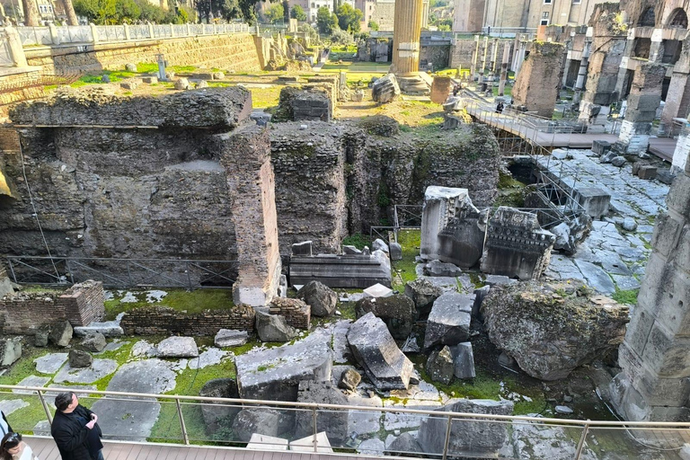 Rome: Colosseum, Roman Forum and Palatine Hill Tour