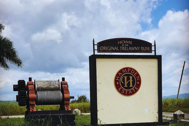 Falmouth : Visite de dégustation du rhum Hampden Estate au départ de Montego Bay