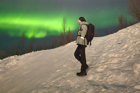 Tromsø: Fjellheisen Local Guided Hike