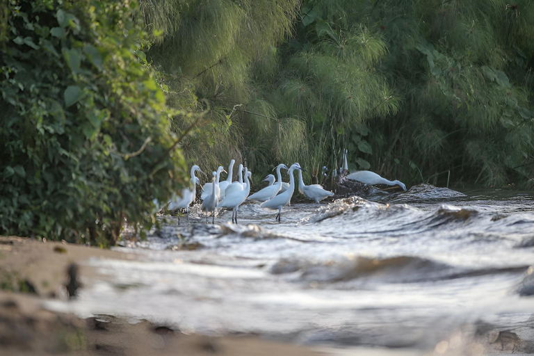 Entebbe: 2-Day Kalangala Island Escape, Kayaking & Quadbikes