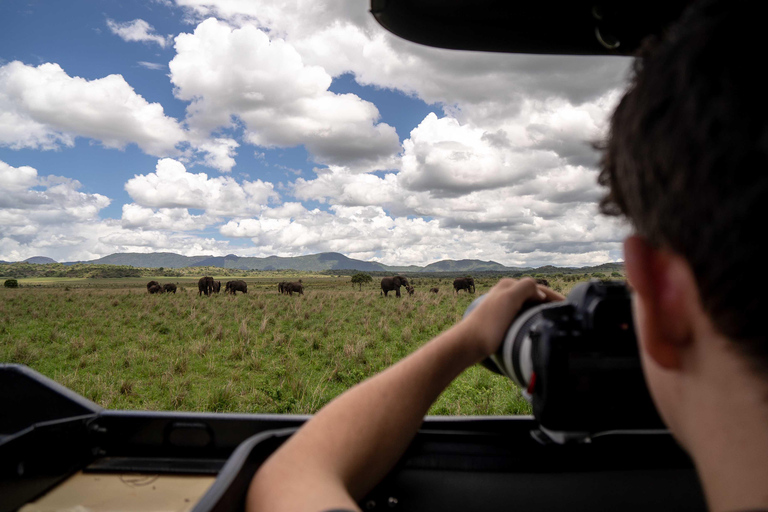 Uganda: 9-Day Roundtrip with Chimpanzee Tracking