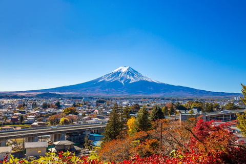 Tokyo: Mt Fuji&Chureito Pagoda&Lake Kawaguchi&Oshino Hakkai Free Karaage Chicken Set | 8AM Tokyo Station Departure