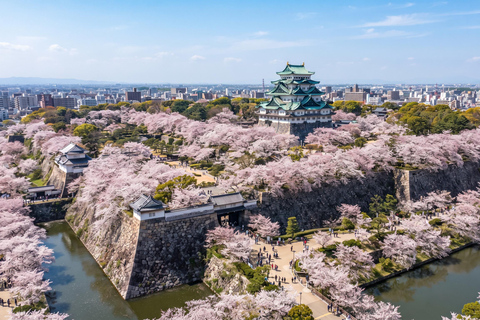 Nagoya: Castle, Samurai History & Tokugawa Art Museum
