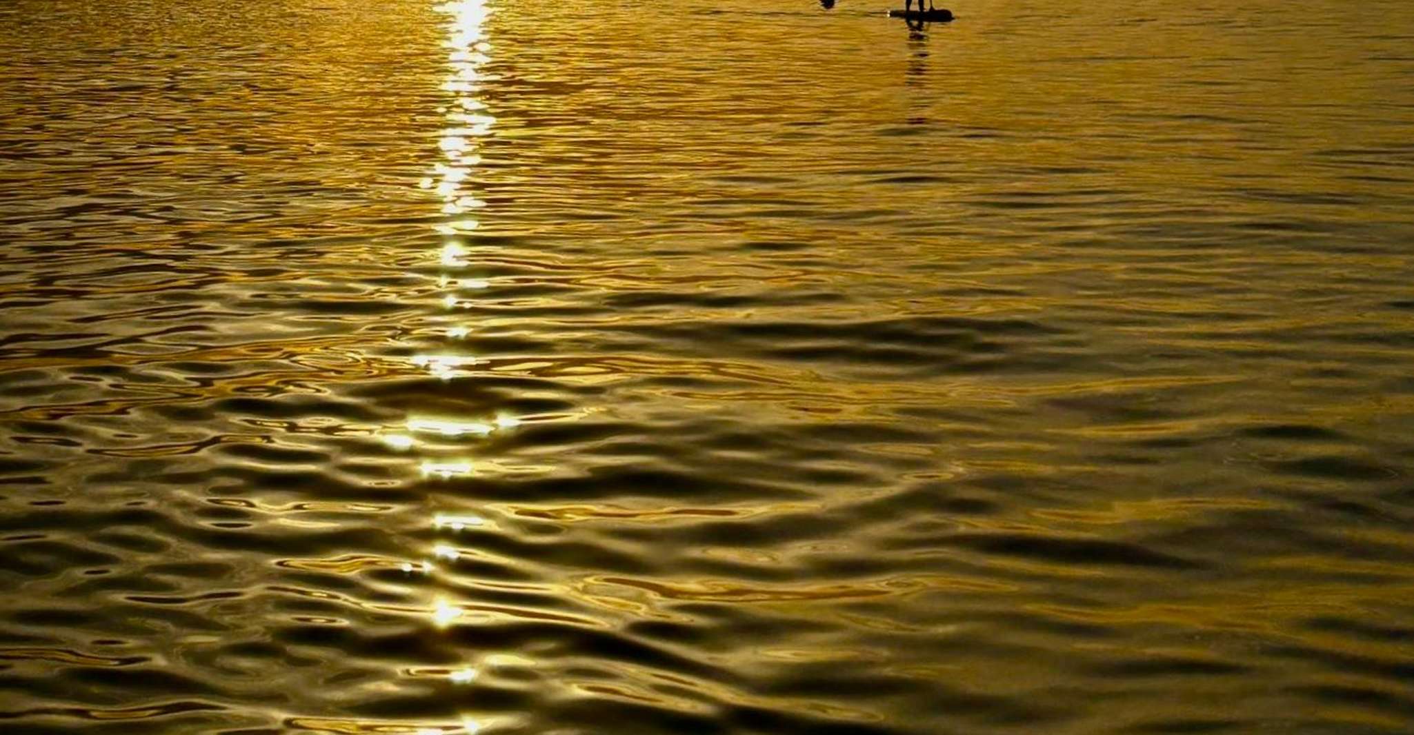Barcelona: Paddleboarding at Sunrise. Includes: instructor, photos, equipment photo 4
