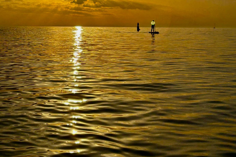 برشلونة: لوح التجديف عند شروق الشمس. تشمل: المعلم، والصور/مقاطع الفيديو، والمواد، والمعدات.