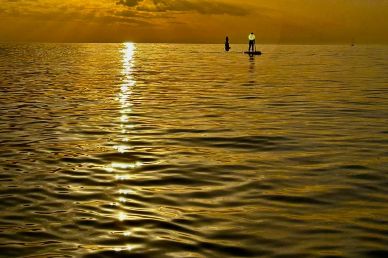 برشلونة: لوح التجديف عند شروق الشمس. تشمل: المعلم، والصور/مقاطع الفيديو، والمواد، والمعدات.