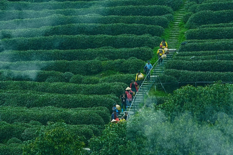 Shanghai to Hangzhou: tea & essences by High-Speed Train