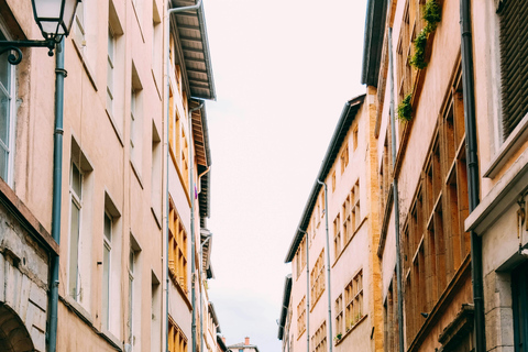 Lyon: Street Culture & Modern Lyon Private Walking Tour 2 Hour Private Walking Tour