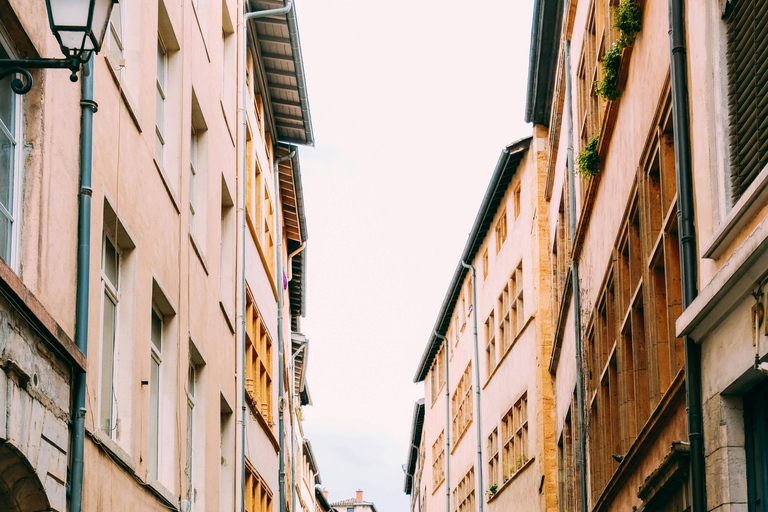 Lyon: Street Culture & Modern Lyon Private Walking Tour 2 Hour Private Walking Tour