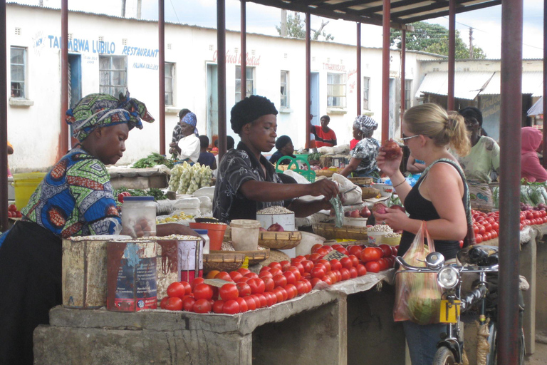 Botswana: Guided Village Tour with Local Guide