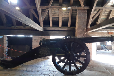 Icónicos Pueblos típicos y castillo de Haut Koenigsbourg