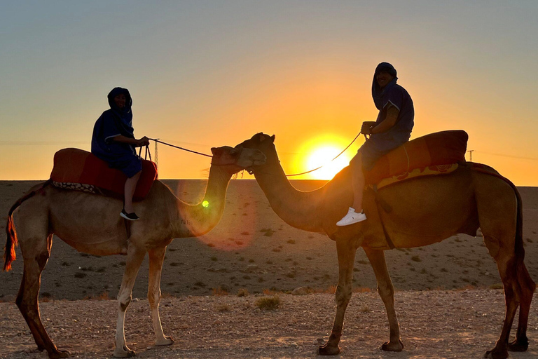 Marrakech: Agafay Desert Dinner Show with Sunset Camel RideSunset Dinner with Camel Ride in Agafay Desert