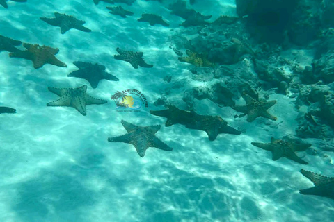 Zanzibar: Jambiani Lagoon Snorkeling & Ngalawa Sailing Tour Hotel Transfers within Southern zone.