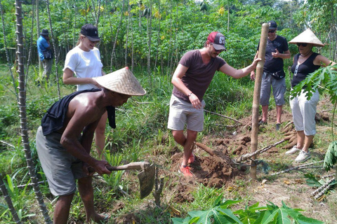 Yogyakarta: Borobudur Aufstieg auf den Gipfel Inklusive Radtour