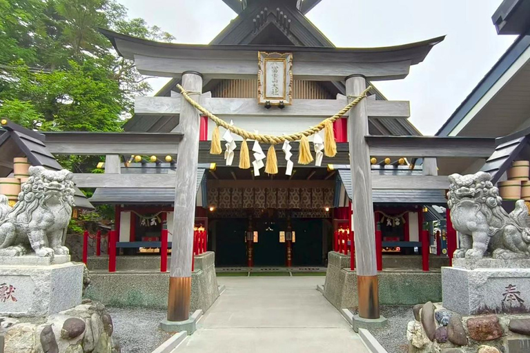 Tour zur fünften Station des Fuji und zum ThermalbadFuji-Ausflug ab Tokyo Station, Abfahrt um 7:30 Uhr