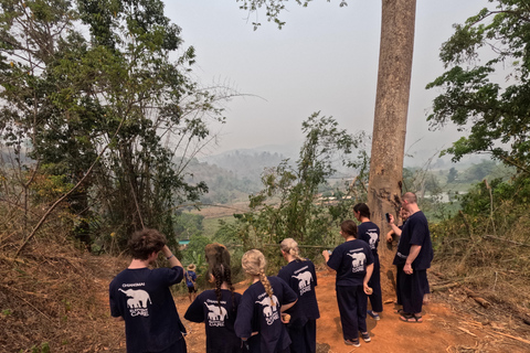 Visita di mezza giornata al programma CHIANGMAI ELEPHANT CARE (8.00-13.00)