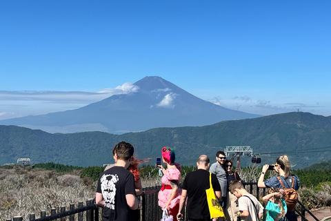Från Tokyo: Fuji-berget eller Hakone Sightseeing Privat dagstur