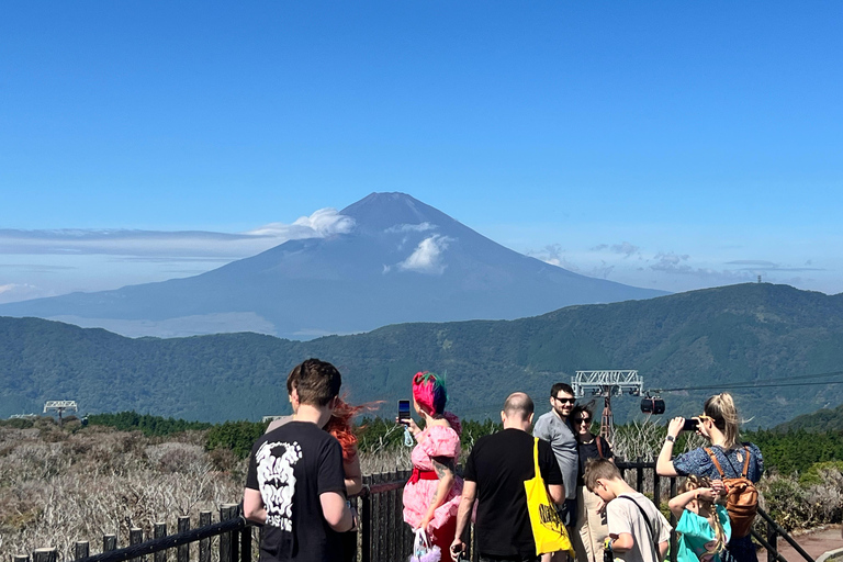 Från Tokyo: Fuji-berget eller Hakone Sightseeing Privat dagstur