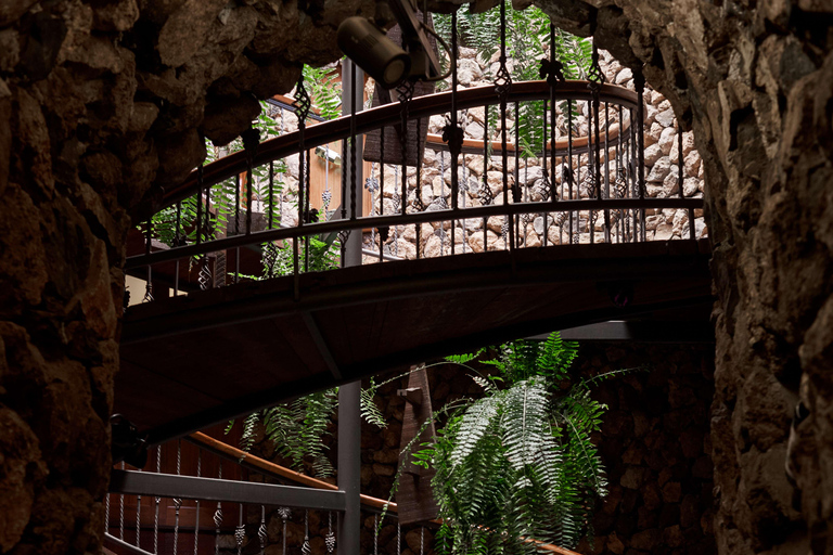 Tenerife: Guided tour with tasting of 6 wines