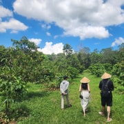 Private Coffee & Honey Bee Farm, Sand Dune & Blue Lake Tour