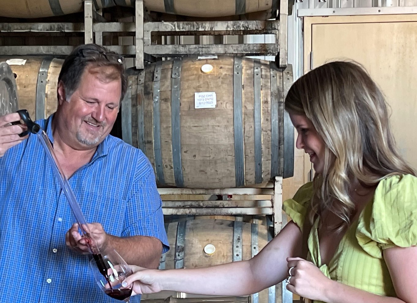 Napa Valley: guidet vintur med picnicfrokost