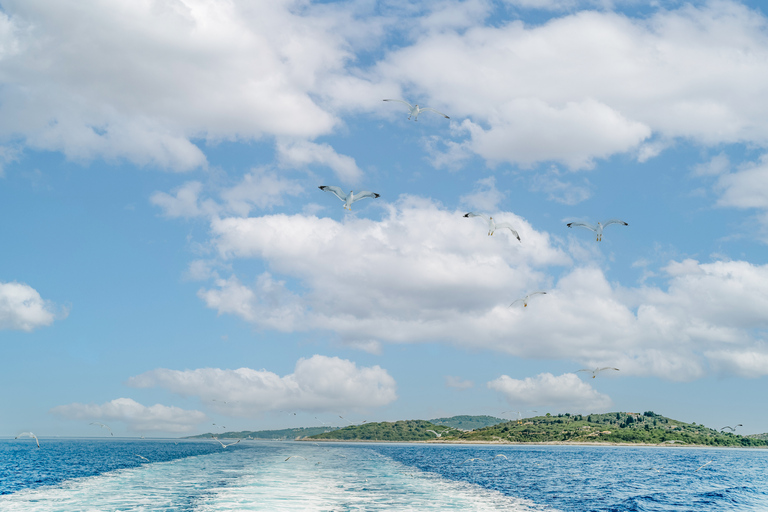 From Corfu Island: Antipaxos & Paxos Blue Caves Boat Cruise Pick-up from Corfu Island to Corfu Port