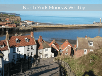 From York: North Moors and Whitby Tour