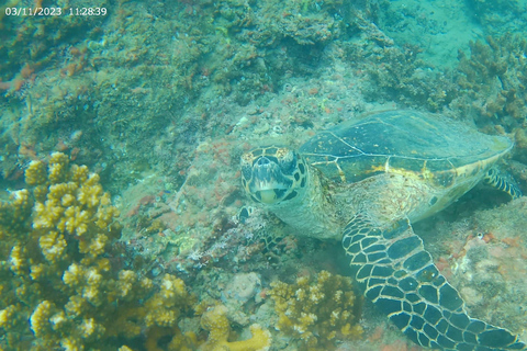Uvita: Caño Island &amp; Corcovado National Park Combo Tour