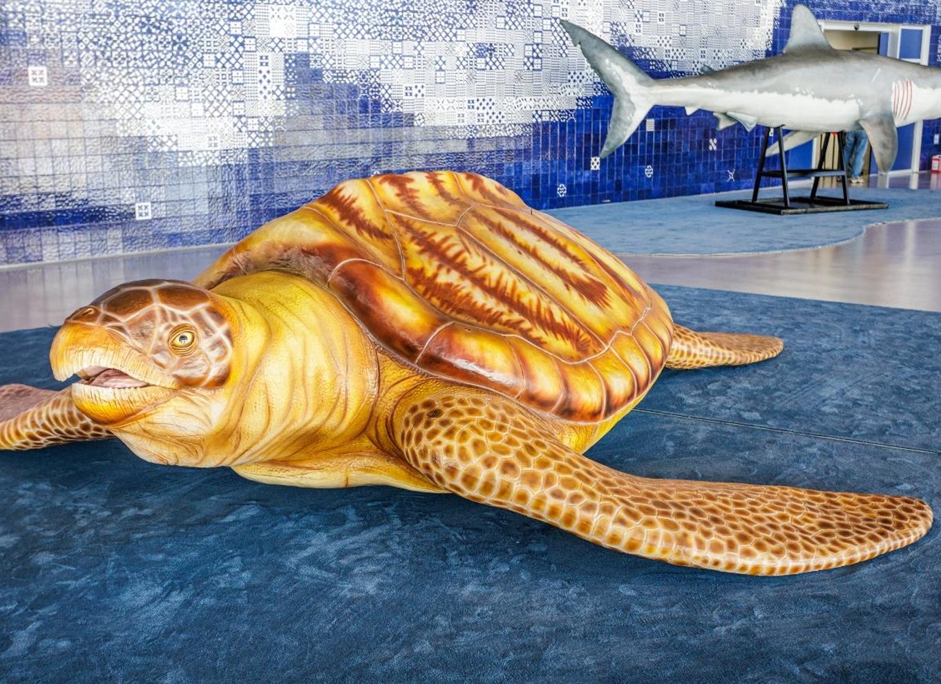 Lissabon: Oceanário de Lisboa Indgangsbillet