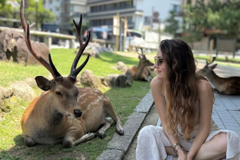 Tokyo: Kyoto & Nara Private Tour with Hotel Pickup