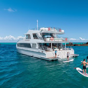 Moreton Island: All-Inclusive Tangalooma Wrecks Snorkel Tour