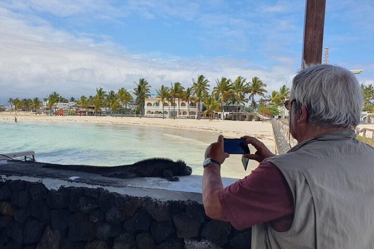 From Puerto Ayora: Isabela Island & Tintorera Islet Day Tour From Puerto Ayora: Isabela Island & Tintorera Islet Day tour