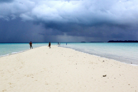 Zanzibar: Blue Lagoon Snorkeling & Sandbank Tour with BBQ Blue Lagoon Snorkeling & Sandbank Tour without Transfer