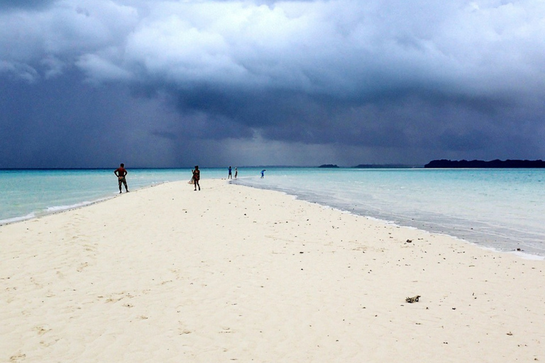 Zanzibar: Blue Lagoon Snorkeling & Sandbank Tour with BBQ Blue Lagoon Snorkeling & Sandbank Tour without Transfer