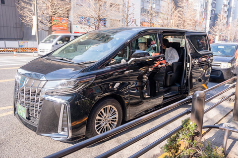 Tokyo: 1-dagars höjdpunkter med privat bil och guide