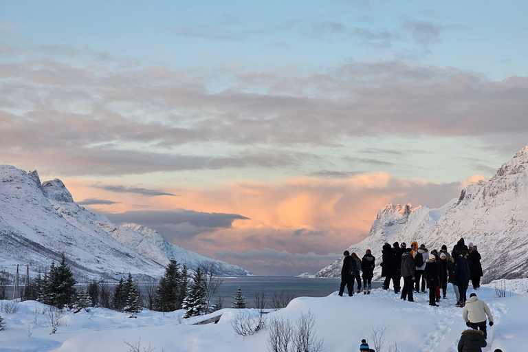 Da Tromsø: Tour panoramico dei fiordi e della fauna artica in auto