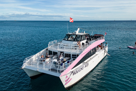 Oahu: Whale Watching Catamaran Tour near Waikiki Oahu Whale Watching