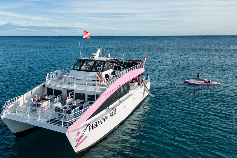 Oahu: Whale Watching Catamaran Tour near Waikiki Oahu Whale Watching
