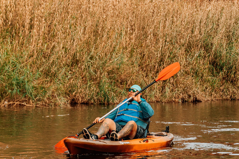 Canyon Lake Arizona: Hidden Coves Kayak or Paddleboard Tour Hidden Coves - Single Kayak